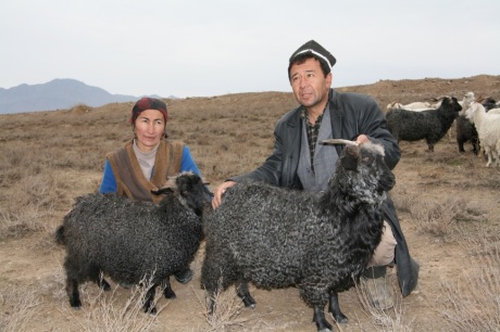 Tajikistan shepherds show off their colored angora goats.  Photos Courtesy of Marilyn Murphy